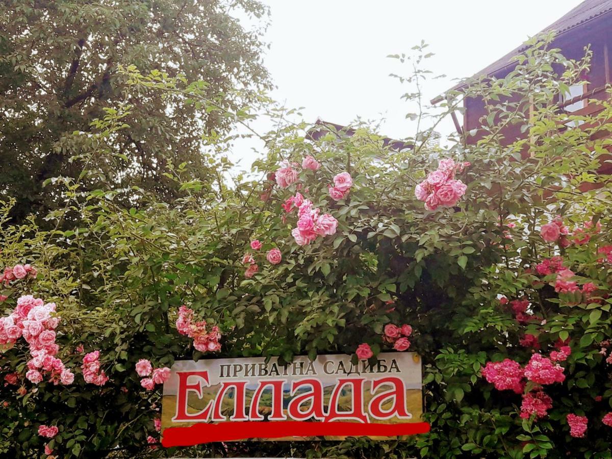 Sadyba Ellada 야렘체 외부 사진